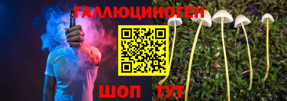 Галлюциногенные грибы Cubensis  наркошоп  Аша  Вход с VPN 